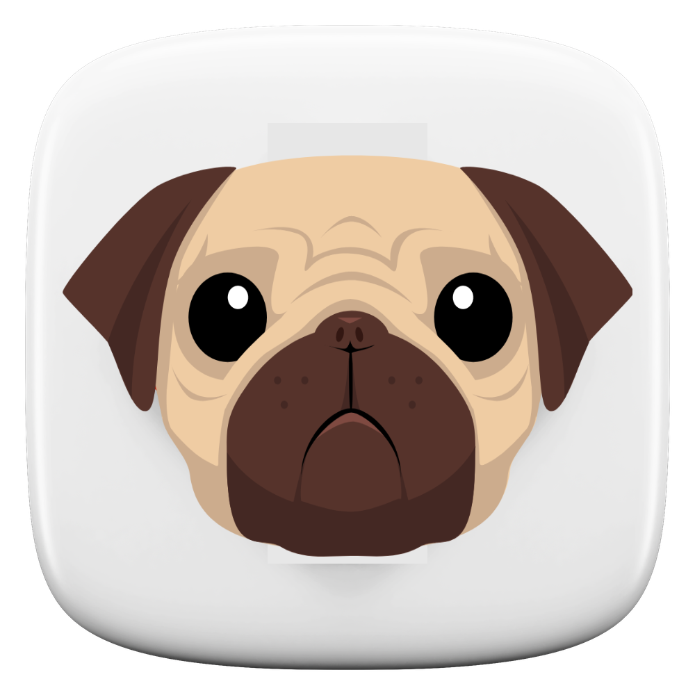 Pug.js